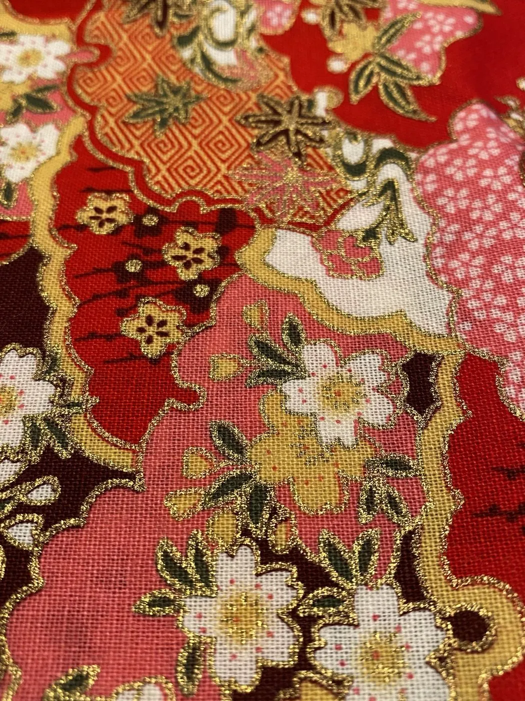 Cotone 01