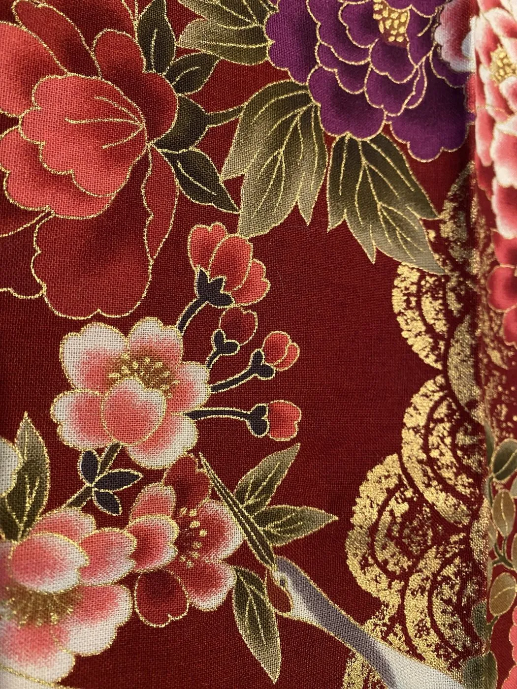 Cotone 03