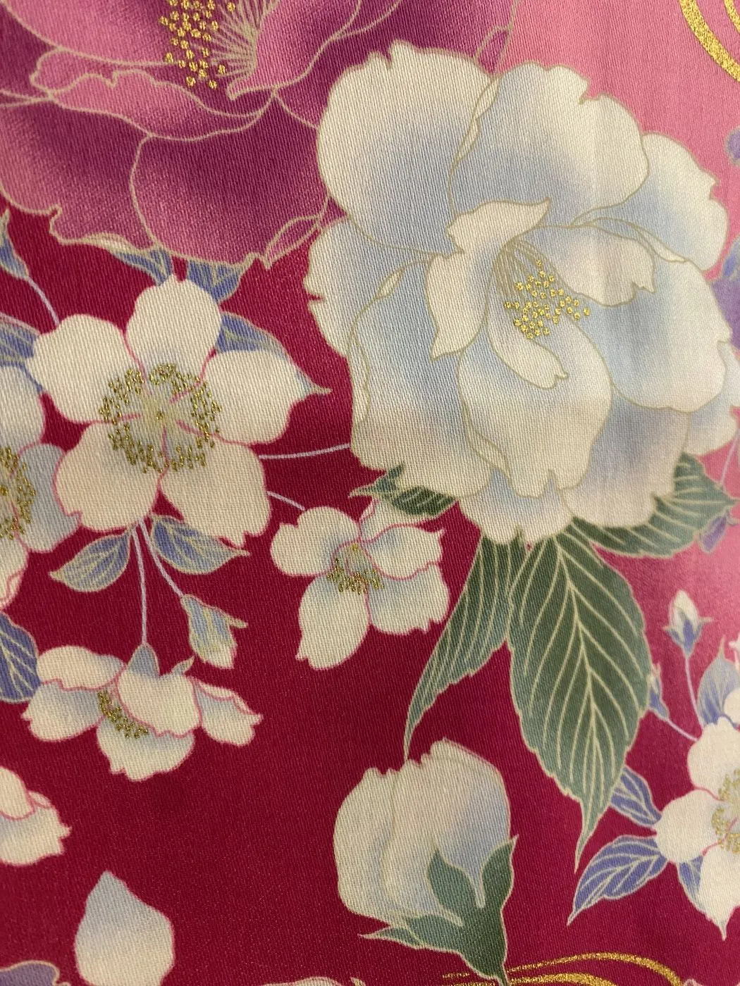 Cotone 07